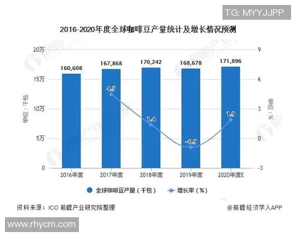 武汉羽毛球队近期状态深度对比及未来发展趋势分析