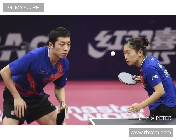 杭州乒乓球队员个人能力深度对比分析与发展潜力探讨